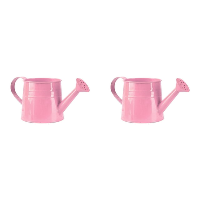 (Lot de 2) Kcodviy Arrosoir de Jardin en Métal Galvanisé Design Outil d'Irrigation Petit Pot d'Horticulture pour Balcon Solution Extérieure