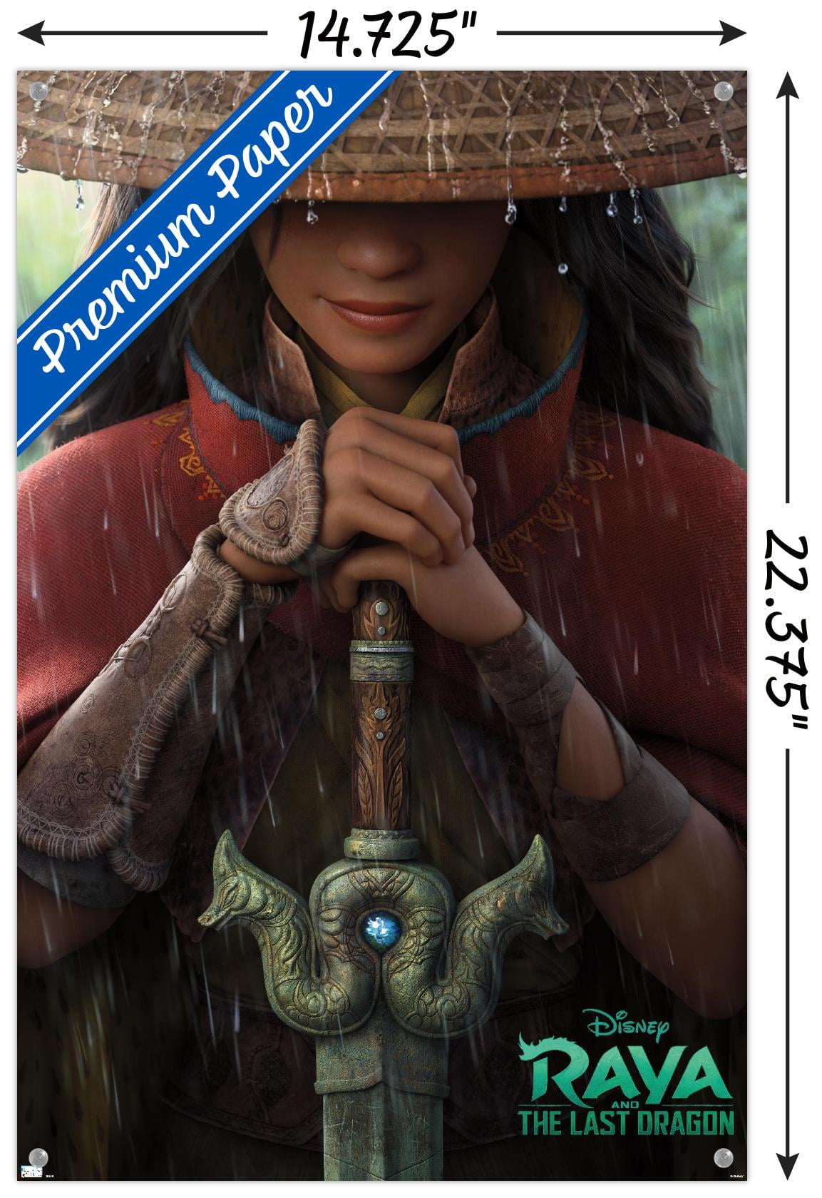 Disney Raya and the Last Dragon - Teaser Wall Poster with Pushpins, 14.725" x 22.375"