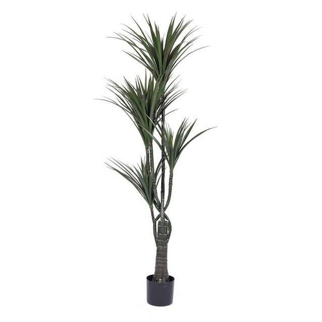 Vickerman T160760 Arbre Géant UV Yucca X5 avec 167 LVS - 60 Po.