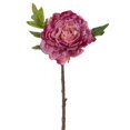 thumbnail image 1 of Tallo de peonía rosa artificial Vickerman 42 cm, paquete de 3, 1 of 2