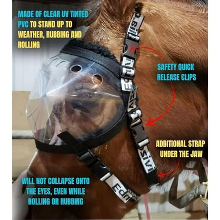 Horse Medical and Preventative Clear UV Recovery Vizor (Size Horse/Full) - Uveitis, Cataracts, Corneal Ulcers, Infections, Blindness, Visor