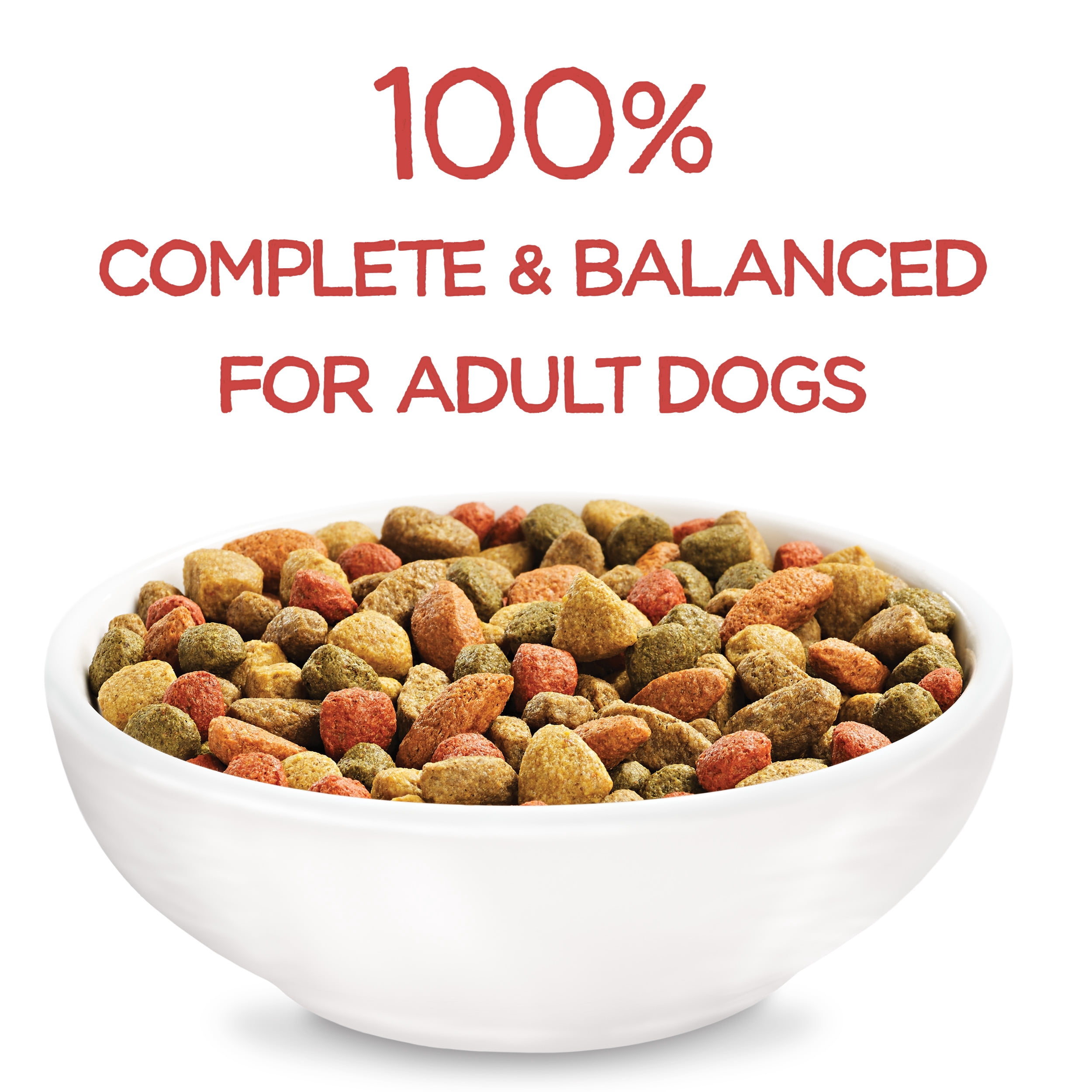 beneful salmon dog food walmart