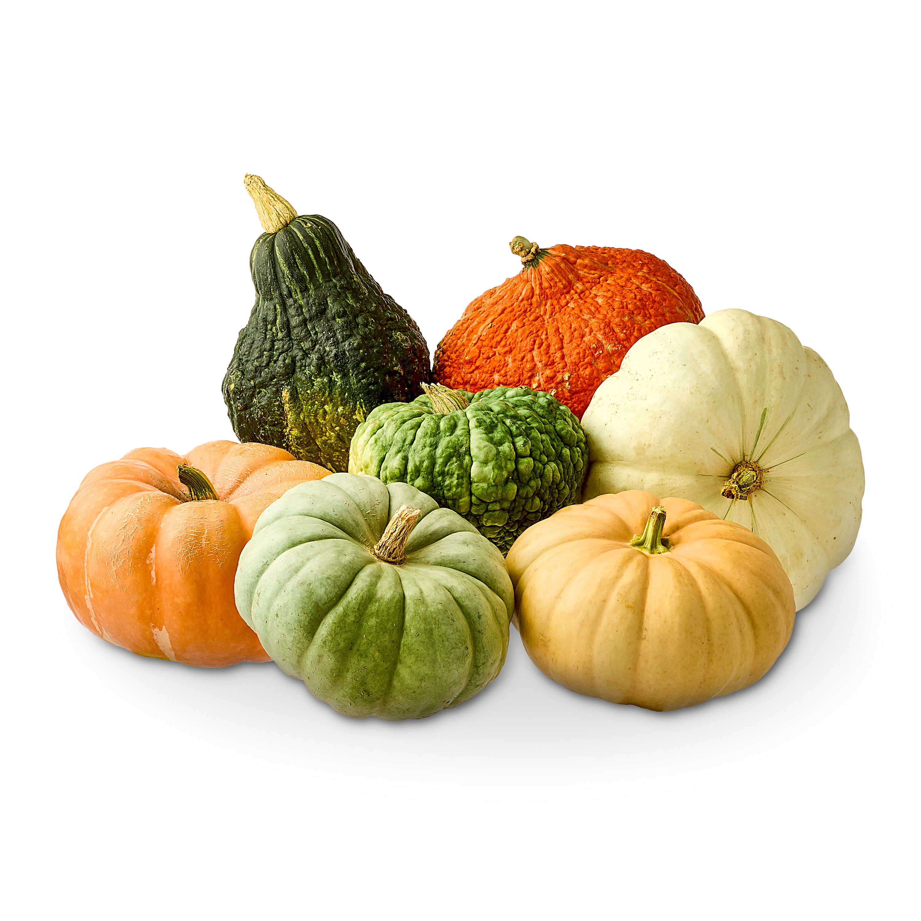 Fresh Large Heirloom Pumpkin, Each (Color and Variety May Vary)