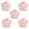 thumbnail image 1 of Flores magnéticas para uñas Sincero 5 piezas decoración de manicura 410, 1 of 3