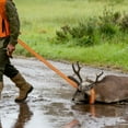 thumbnail image 3 of Sangle de Traîne pour Cerf et Harnais, Corde de Traîne Robuste pour Cerf pour, 3 of 3