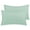 Aqua Blue, variant on BedDecor 100% Egyptian Cotton 600TC 2PC Pillow Sham Solid White Queen