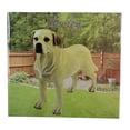 thumbnail image 6 of DWK Corp "Marley" Yellow Labrador Dog Figurine, 6 of 7