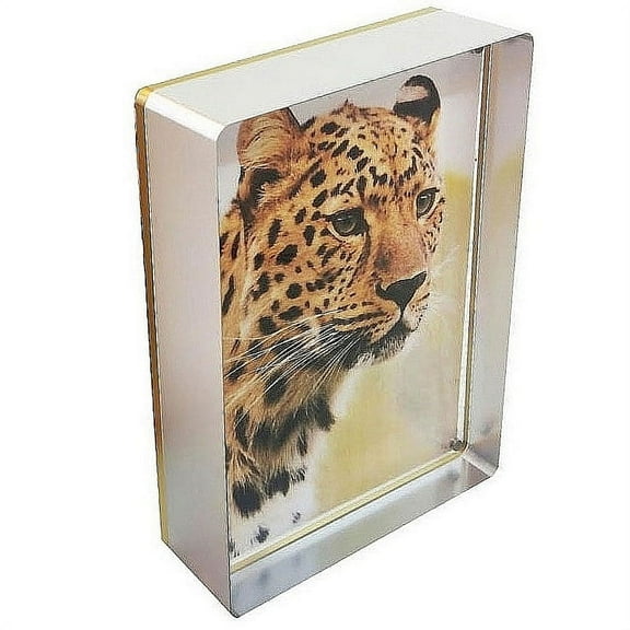 The PRESTIGE SILVER Gold 4x6 MAGNET FRAME by Canetti - 4x6