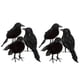 thumbnail image 1 of 1-6 uds. De cuervos de Halloween, ave artificial, juguetes, cuervos, accesorios de decoración de disfraces, cebo de cuervo con plumas negras, 1 of 5