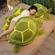 thumbnail image 2 of Juguete de peluche de tortuga verde gigante, muñecos de animales Kawaii, almohada de tortuga marina suave, 80cm, 2 of 5