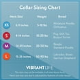 thumbnail image 5 of Vibrant Life Polyester Adjustable Collar for Dogs, Black, Large, 5 of 7