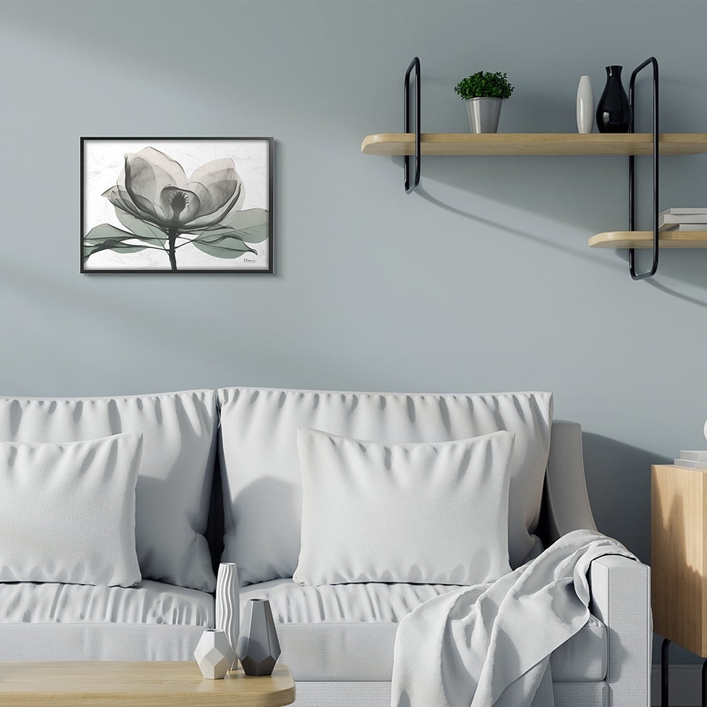 Stupell Industries White Magnolia Flower White Green Silhouette Black Framed by Albert Koetsier