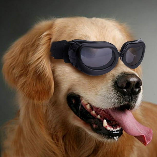 Gafas de sol para perros pequeños, impermeables, resistentes al viento, con protección UV, para cachorros