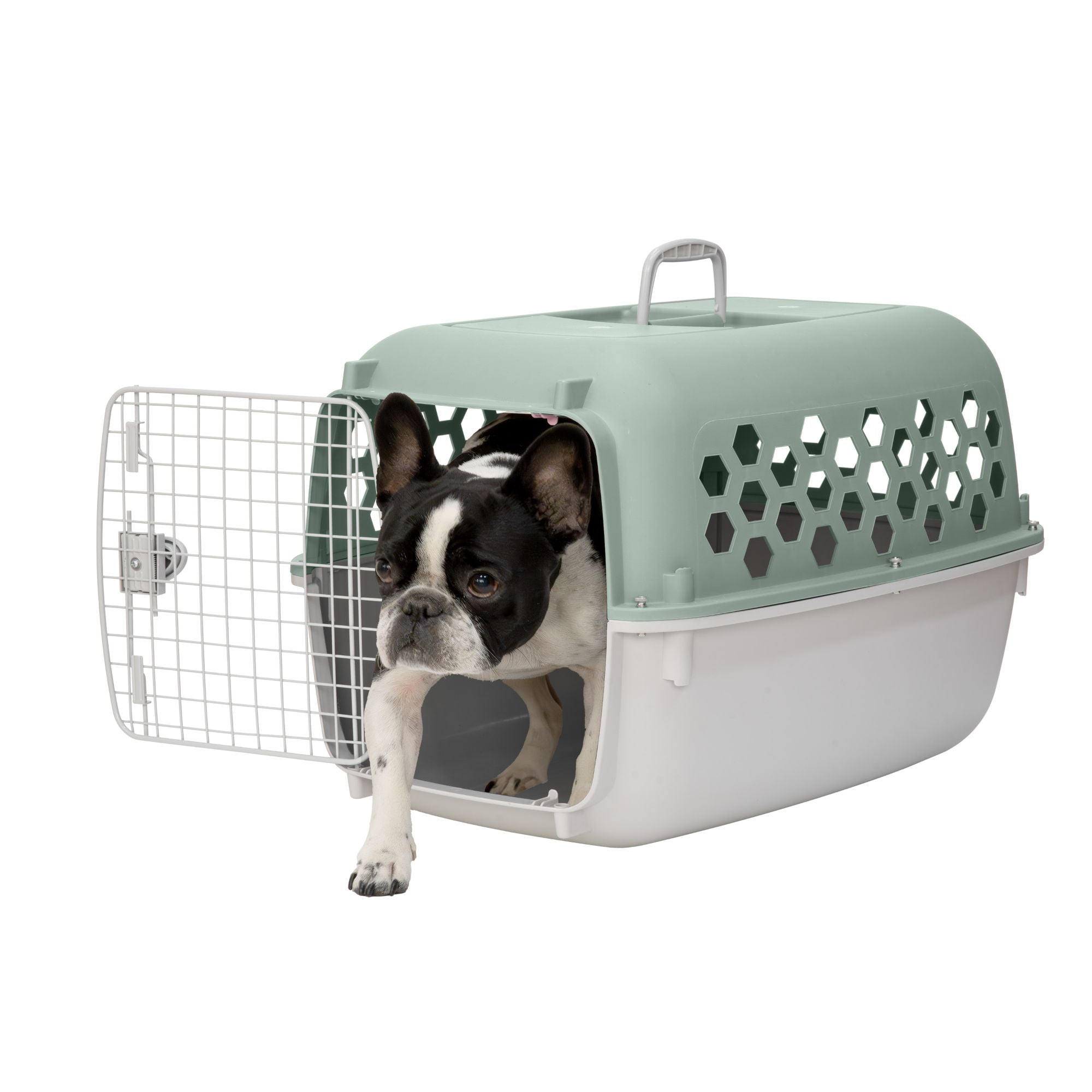 Vibrant Life 26" Plastic Portable Kennel for Dogs, Green