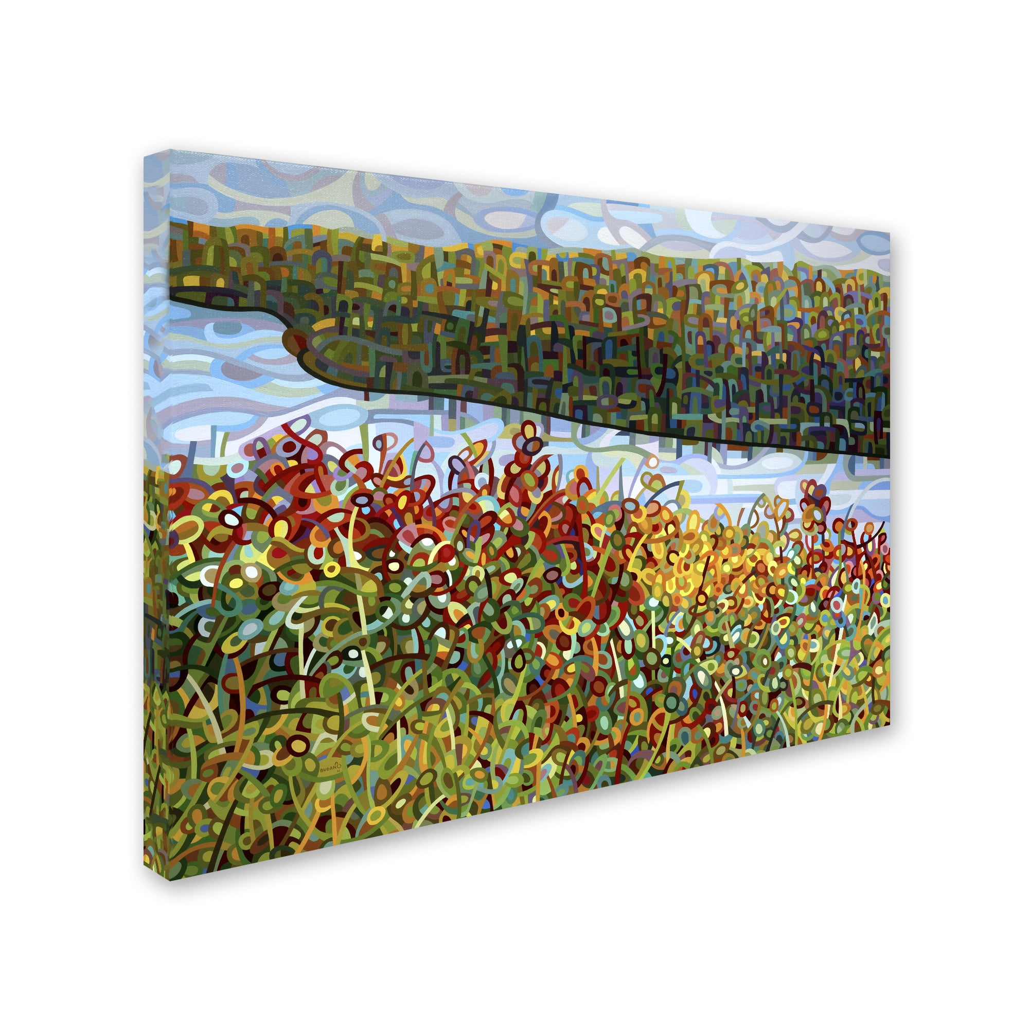 Mandy Budan 'The River' Canvas Art