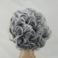 thumbnail image 2 of Cptfadh cpfadh Human Hair Grey Wig Full Woman Curly Fashion Synthetic Hair Short Natural Wig, 2 of 6