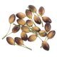 thumbnail image 1 of KAKOWELY 10Ud Artificiales De Espuma Para De Cocina Y Casa Realistas Y Resistentes, 1 of 8