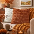 thumbnail image 3 of decorUhome Fall Throw Pillow Covers 18x18 Pack of 2, Soft Plush Faux Wool Couch Pillow Covers, Light Rust Pumpkin (Pillow Cover Only, No Inserts Included), 3 of 7