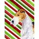 Carolines Treasures SS4547GF 11 x 15 Po Fox Terrier Canne à Sucre Vacances Noël Drapeau-Jardin Taille – image 1 sur 3
