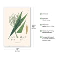 thumbnail image 2 of Palm Tree Leaf (Geonoma Spixiana) - Vintage Botanical Illustration by Carl Friedrich Philipp von Martius c.1820s - Master Art Print (Unframed) 12in x 18in, 2 of 4