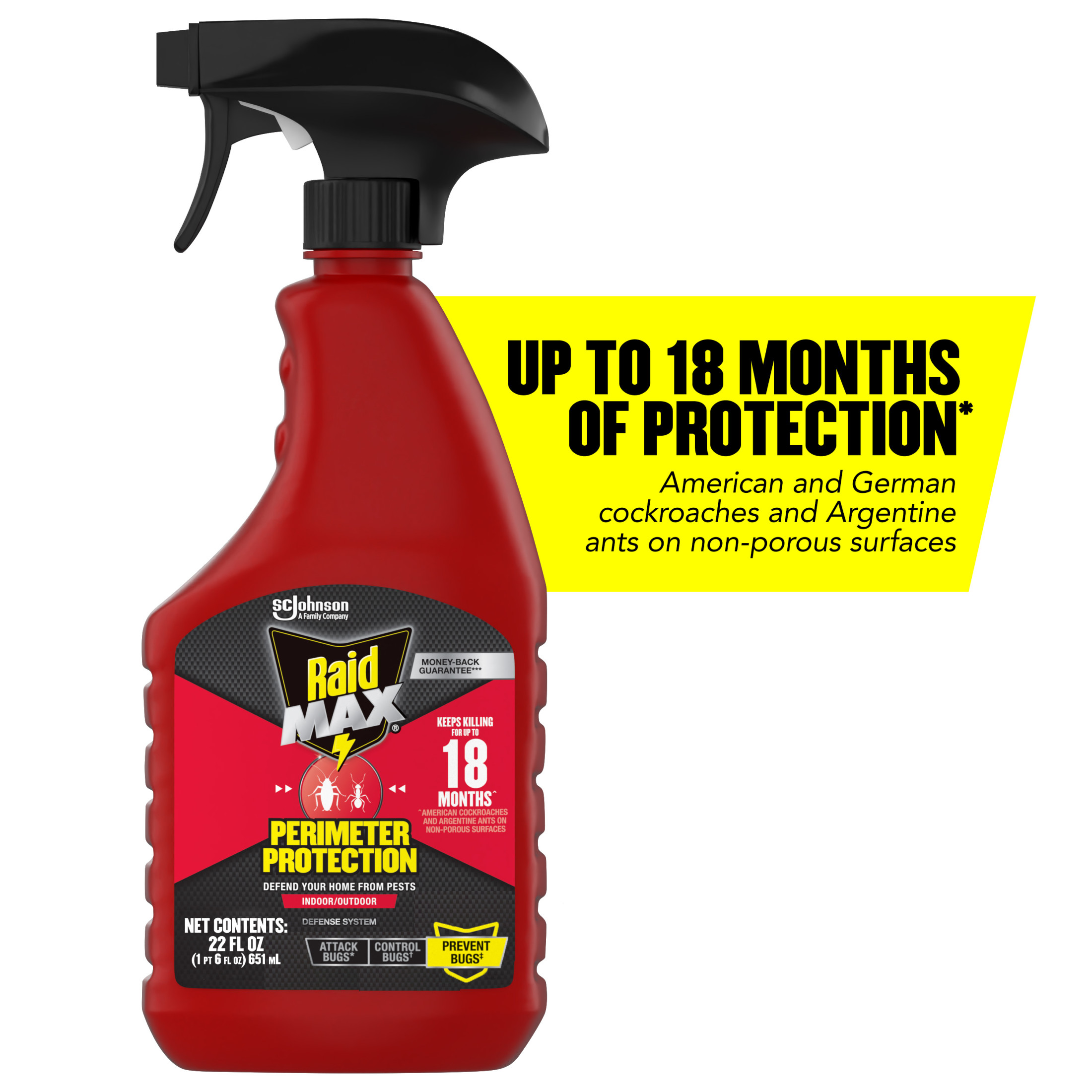 Raid MAX Perimeter Protection, Indoor & Outdoor Multi Insect Killer Spray, 22 fl oz