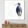 thumbnail image 2 of Designart ' Tricolored Heron Bird On White ' Farmhouse Canvas Wall Art Print, 2 of 4