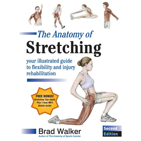 The Anatomy of Stretching, Second Edition : Your Illustrated Guide to Flexibility and Injury