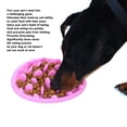 thumbnail image 4 of Pet Slow Feeding Bowl, Safe Dog Slow Eating Dish Slip Proof  for Indoor, 4 of 8