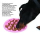 thumbnail image 4 of Cuenco de alimentación lenta para mascotas antideslizante seguro para perros plato de alimentación lenta interactivo promueve la digestión picos flexibles para interiores ANGGREK Otros, 4 of 8