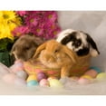 thumbnail image 2 of CafePress - Easter Bunnies Mug - 11 oz Ceramic Mug - Novelty Coffee Tea Cup, 2 of 4