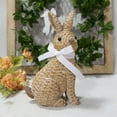 thumbnail image 1 of Dpityserensio Ornements de Jardin Lapin Décoratifs Cour Extérieure Sculptures en Résine, 1 of 6