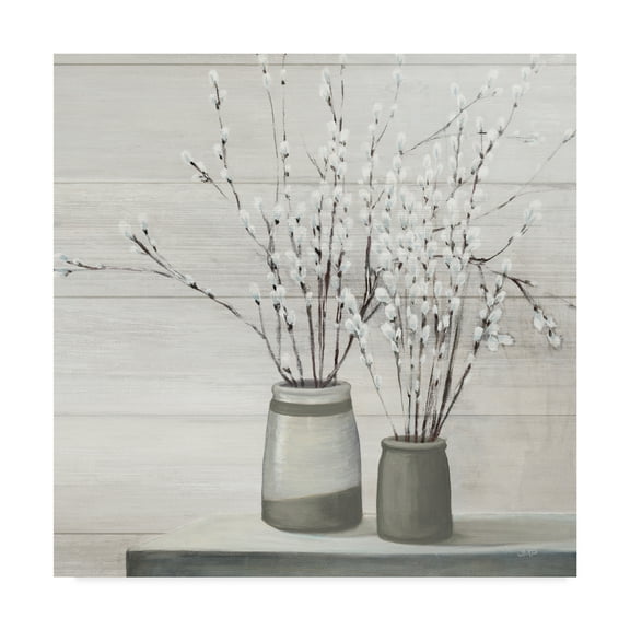 Trademark Fine Art 'Pussy Willow Still Life Gray Pots Shiplap' Canvas Art by Julia Purinton