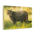 thumbnail image 2 of Majestic Wildcat Art Majestic Wildcat Print Animal Wall Art Wildlife Canvas Prints Wall Art Ready to Hang Unframed, 2 of 18