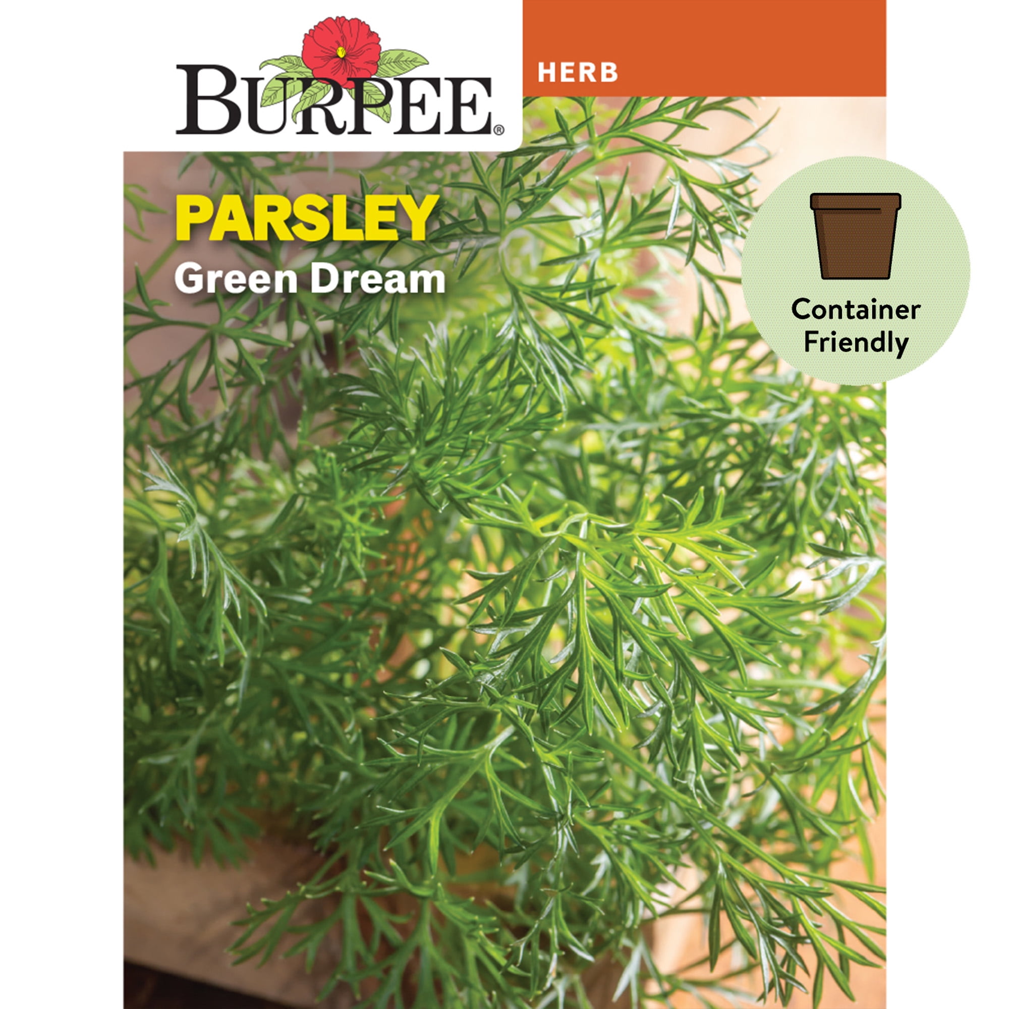 Burpee Green Dream Parsley Herb Seed, 1Pack