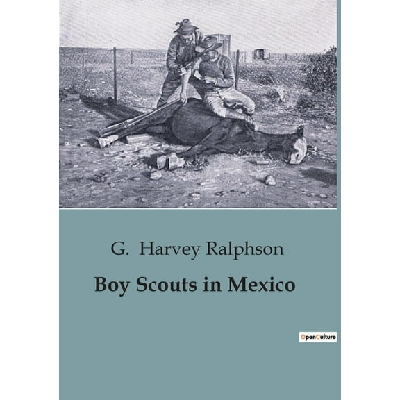 Boy Scouts in Mexico: Adventures and Mysteries with the Boy Scouts in Mexico, (Paperback)