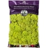 SuperMoss® Preserved Reindeer Moss