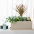 thumbnail image 4 of Bandejas de goteo for plantas de interior, palé de resina sintética, platillo for macetas, for sala de estar, balcón y patio., 4 of 4