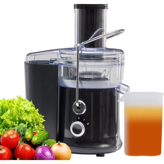 LIFERECORD Fruit & Vegetable Juicer with Wide 3-inch Chute - High-Speed 480W Centrifugal Juicer Machine with Easy-Clean Design, 2.6 Inch