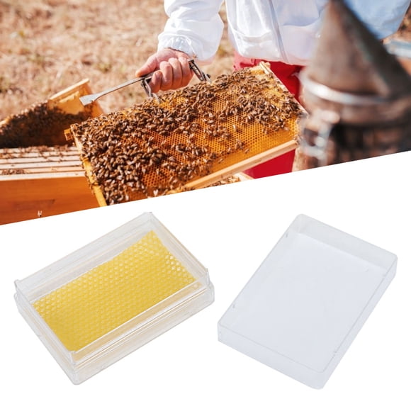 Beekeeper Equipment,Plastic Beekeeping Comb Beehive Honey Beehive Box Beehive Box Time-Tested Durability