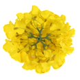 thumbnail image 3 of Cabezas de hortensia de seda flojery con flores artificiales (amarillas) Flojery Ver descripción, 3 of 5