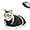 White- Black, variant on SolaceHue Cat Bathing Bag, Breathable Mesh Cat Shower Bag Anti Scratch Adjustable Cat Grooming Bag for Nail Trimming, Bathing Polyester Soft Cat Washing Bag (White-Green)