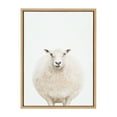 thumbnail image 3 of Kate and Laurel Sylvie Round Sheep Portrait Framed Canvas Wall Art by Amy Peterson Art Studio, 18x24 Natural, Modern Farm Animal Portrait for Wall Decor, 3 of 7