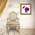 thumbnail image 3 of Durnberger, Sonja 12x12 Gold Ornate Wood Framed with Double Matting Museum Art Print Titled - Viola tricolor, 3 of 4