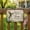 C, variant on Inspirational Garden Sign With Uplifting Quote, Decorative Wall Plaque For Indoor And Outdoor Use, A Thoughtful Accents For Patios Porches And Flower Beds, Themed Decor, 1Pack A