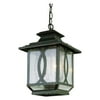 Trans Globe 5195 BRT Hanging Lantern - Burnished Rust - 9.25W in.