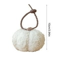 thumbnail image 3 of Yoziaaoa 2 Pcs Thanksgiving Themed Fabric Pumpkin Decoration with Rope Hanger, Foam Filled Fall Seasonal Decor for Party and Indoor Display, 3.94in(White), 3 of 6