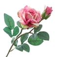 thumbnail image 1 of Cheers Imitation Rose Real Touching No Withering Fresh Keeping 2 Heads Faux Silk Flower Home Decor, 1 of 7