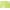 Lime Starfish, variant on Woman Within Plus Size Stamped Empire Waist Dress