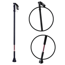 Dynamo Prime Stick Cane - Experience Better Balance, Posture & Mobility - Lightweight, Convenient, Adjustable Walking Cane for Seniors, Men & Women - Perfect for Hiking, Walking & Trekking (Purple)