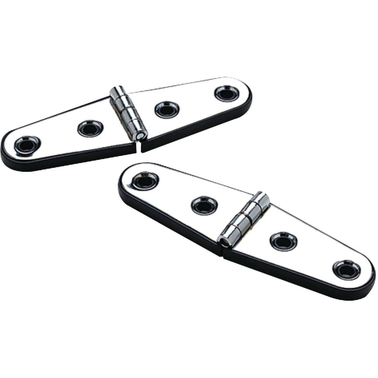 stainless strap